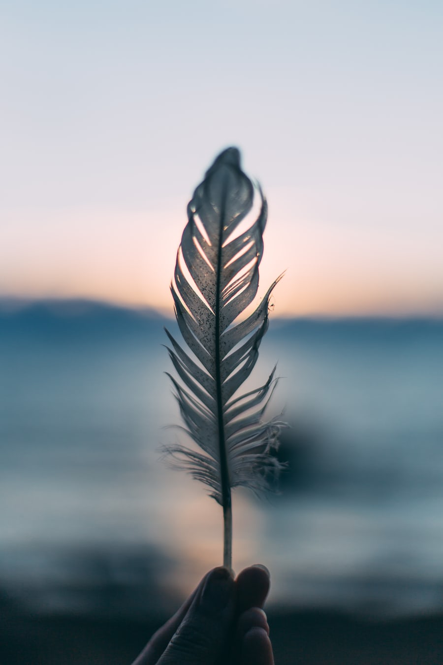 image0 Person holding feather to ocean